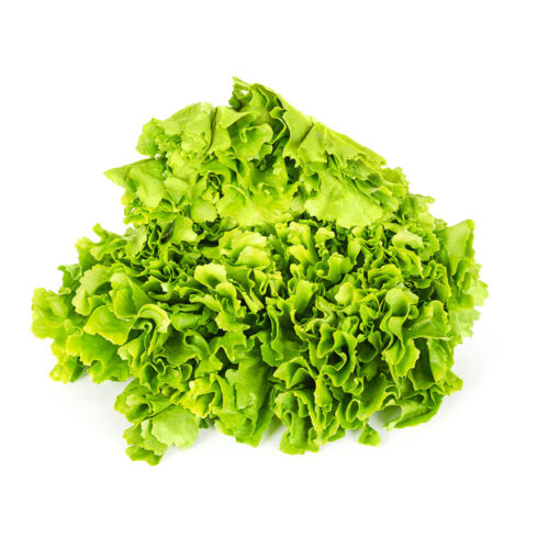 Fruta y verdura a domicilio en El Casar | Lechuga batavia