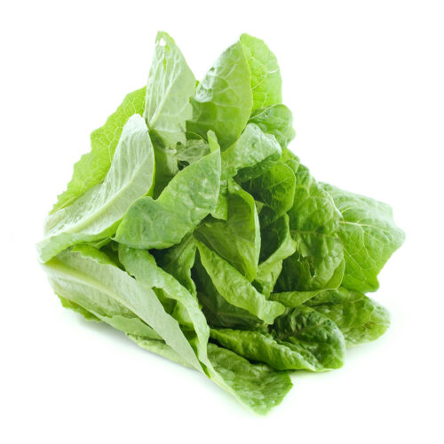 Fruta y verdura a domicilio en El Casar | Lechuga romana